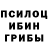 Псилоцибиновые грибы мухоморы Volodya Volochai