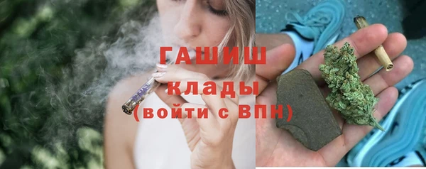шишки Верхний Тагил