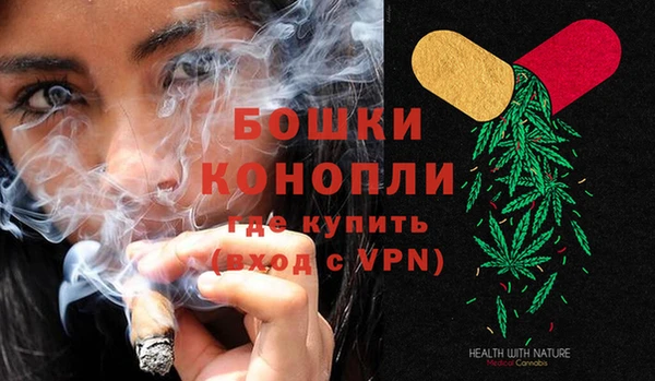 spice Бородино