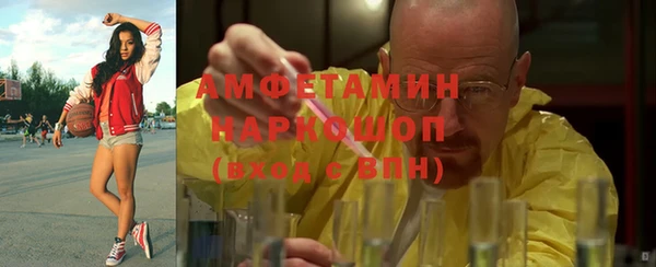spice Бородино