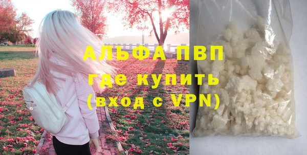 spice Бородино