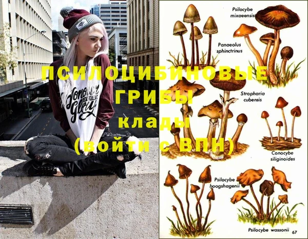 spice Бородино