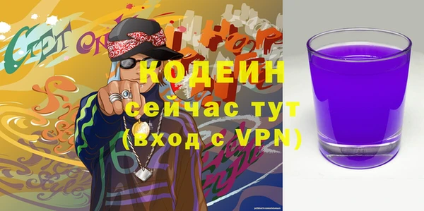 spice Бородино