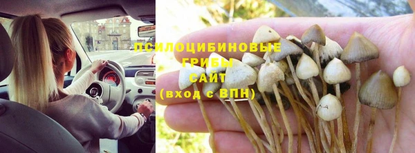 прущие крисы Бугульма