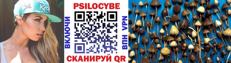 Купить где  Черепаново  Псилоцибиновые грибы мицелий 